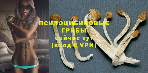 тгк Балахна