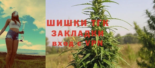тгк Балахна