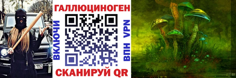 как найти закладки  Кузнецк  Галлюциногенные грибы Psilocybine cubensis 